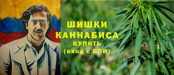 ГАЛЛЮЦИНОГЕННЫЕ ГРИБЫ Вяземский